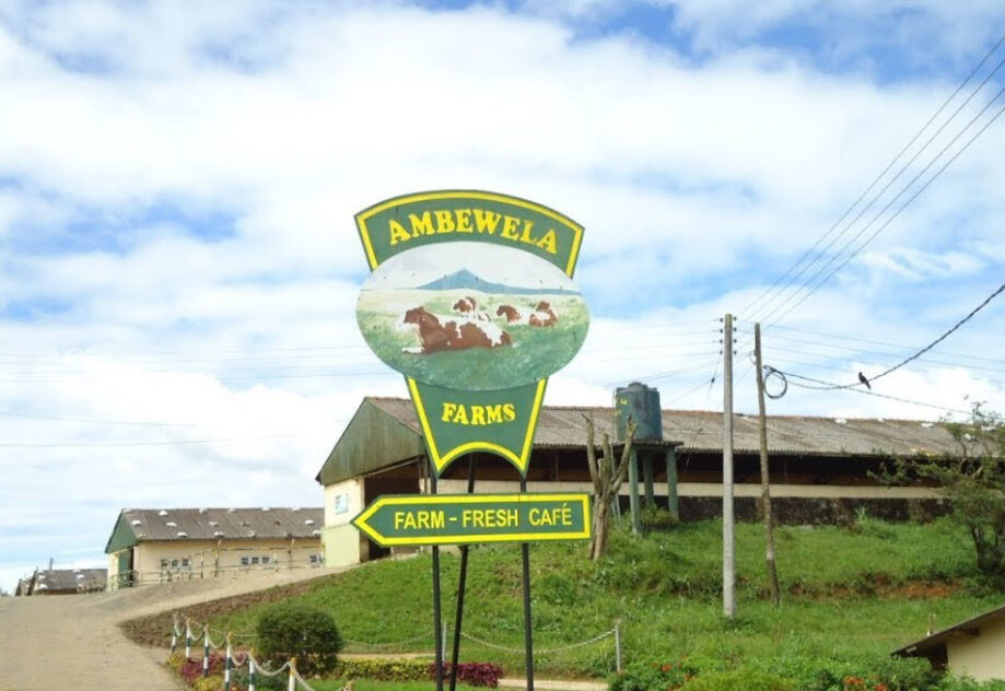 Project Type: Water Treatment Plants Year of completion: 2023