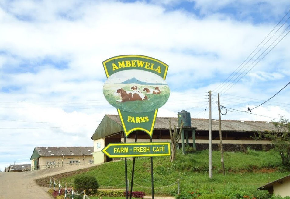 Project Type: Water Treatment Plants Year of completion: 2023